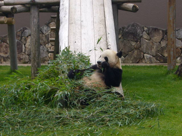 大手企業とは違う土俵で勝負する